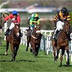 paddy power free bet grand national